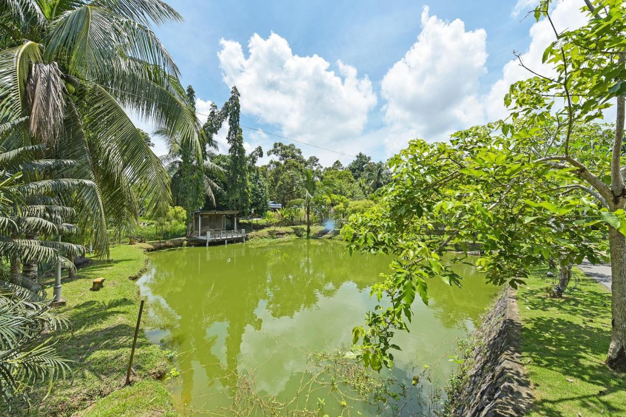 OYO 90636 Teratak Zakiah Chalet Jerantut Luaran gambar