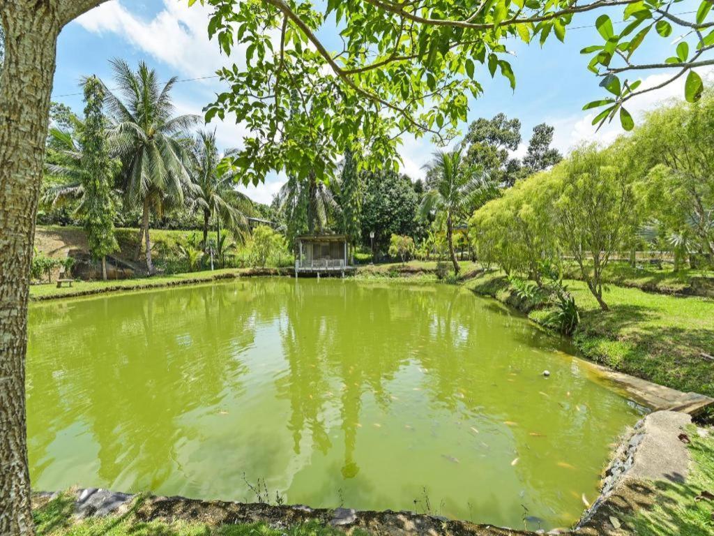 OYO 90636 Teratak Zakiah Chalet Jerantut Luaran gambar